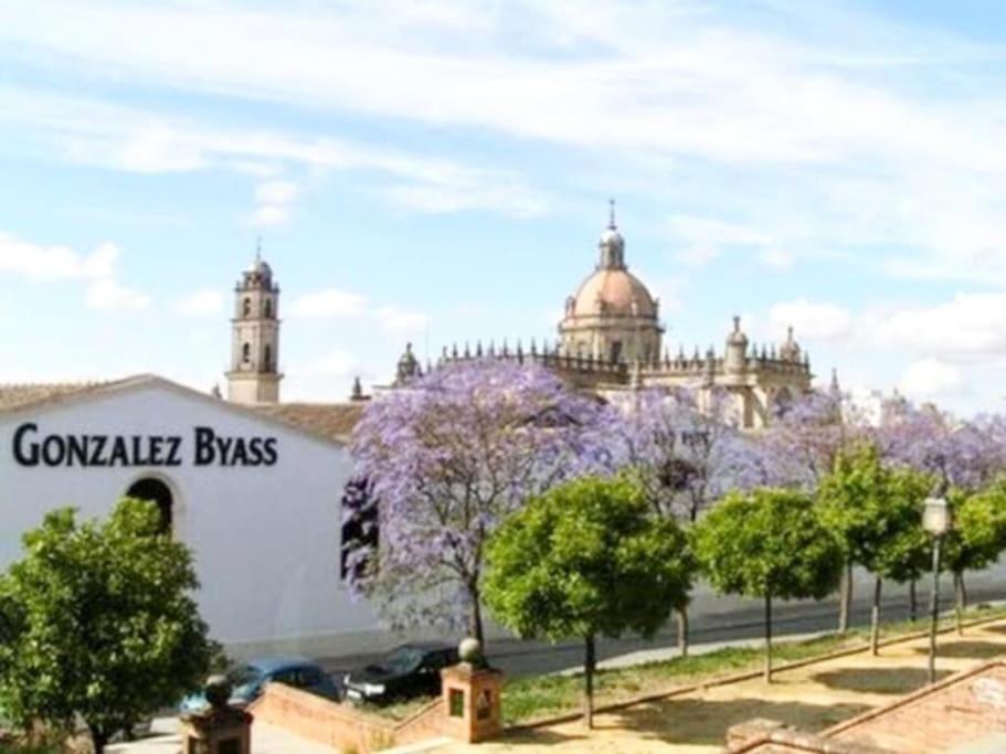Apartamento Loft Jerez Buleria Διαμέρισμα Χέρεζ Εξωτερικό φωτογραφία